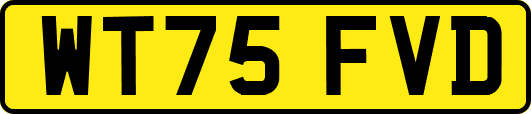 WT75FVD