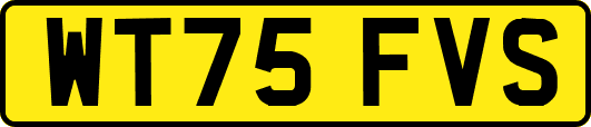 WT75FVS