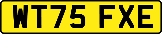 WT75FXE