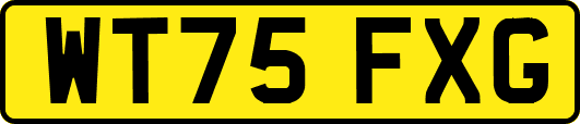 WT75FXG