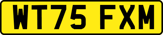 WT75FXM