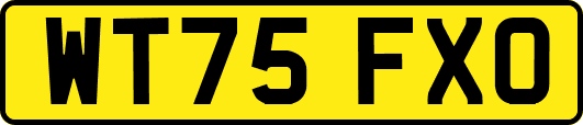 WT75FXO