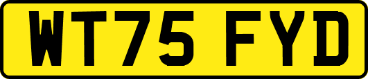 WT75FYD