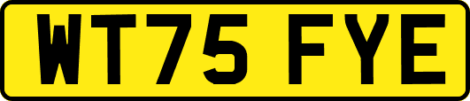 WT75FYE