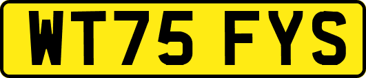 WT75FYS