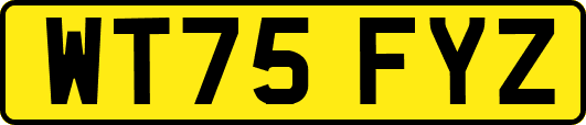 WT75FYZ