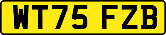 WT75FZB