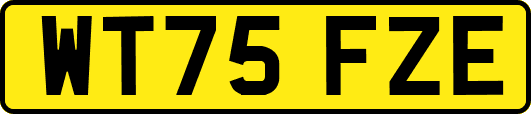 WT75FZE