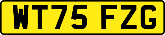 WT75FZG