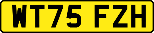 WT75FZH