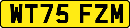 WT75FZM
