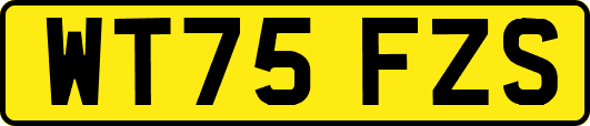 WT75FZS