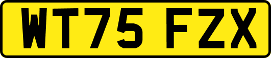 WT75FZX