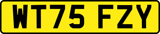 WT75FZY