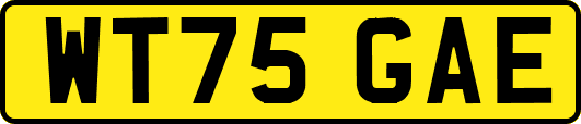 WT75GAE