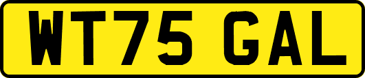 WT75GAL