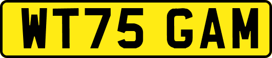 WT75GAM