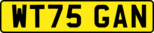 WT75GAN