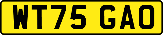WT75GAO