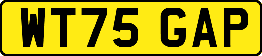 WT75GAP