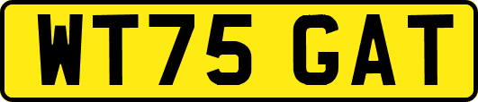 WT75GAT