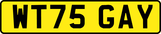 WT75GAY