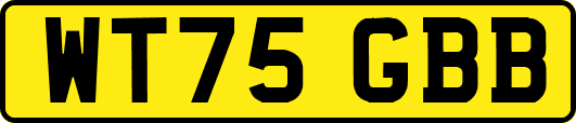 WT75GBB