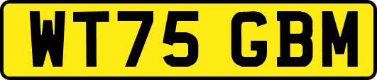 WT75GBM