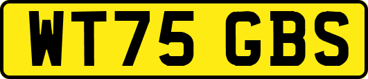 WT75GBS