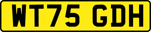 WT75GDH