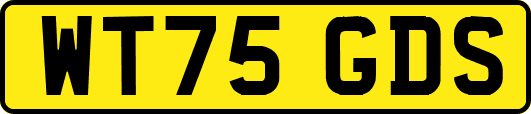 WT75GDS