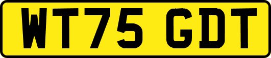 WT75GDT