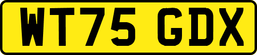 WT75GDX