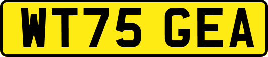 WT75GEA