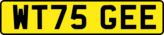WT75GEE
