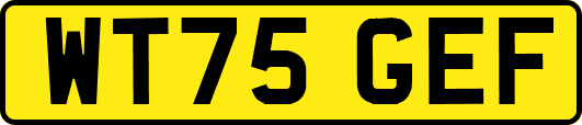 WT75GEF
