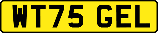 WT75GEL