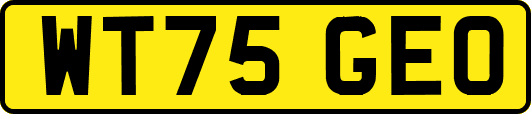 WT75GEO