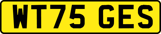 WT75GES