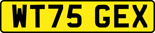 WT75GEX