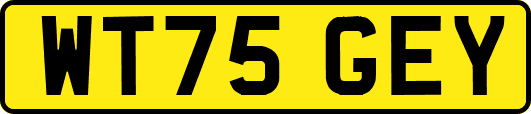 WT75GEY