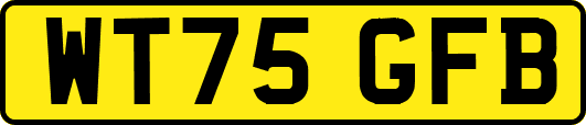 WT75GFB