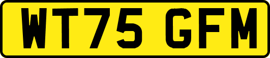 WT75GFM