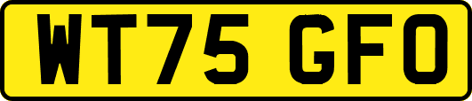 WT75GFO