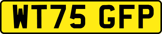 WT75GFP