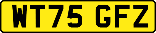 WT75GFZ