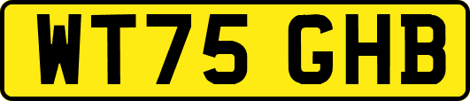 WT75GHB