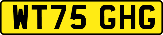 WT75GHG
