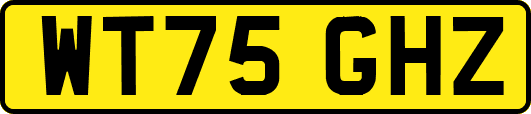 WT75GHZ