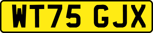 WT75GJX